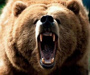 пазл Гневной медведь